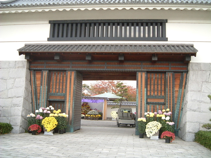 イメージ 3
