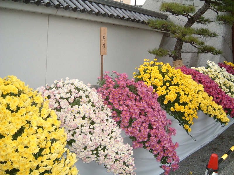 イメージ 4