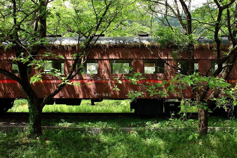 f:id:centuryride0608:20190331215742j:plain