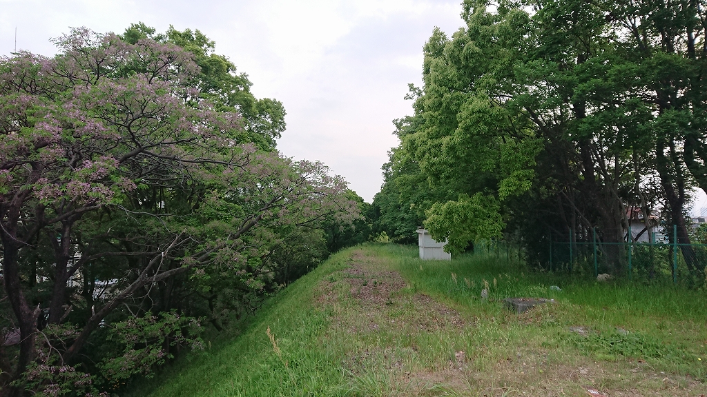 f:id:centuryride0608:20190518220344j:plain