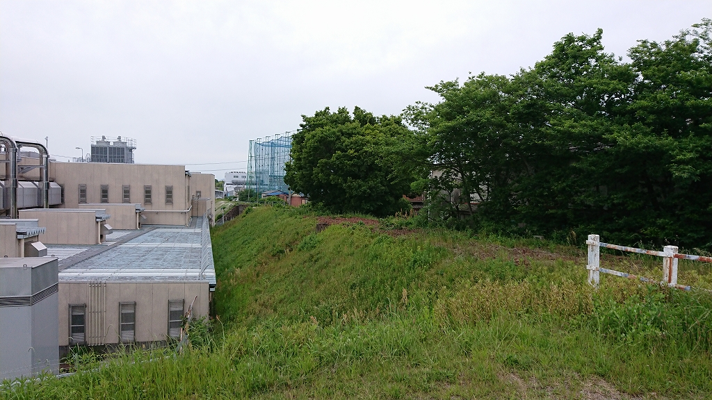 f:id:centuryride0608:20190518222003j:plain