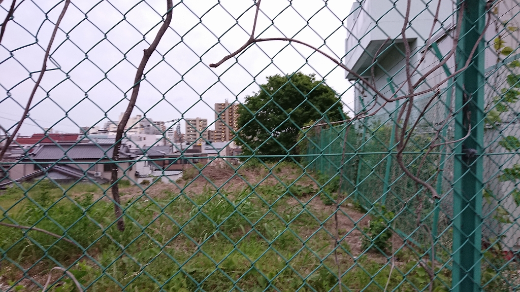 f:id:centuryride0608:20190518222150j:plain