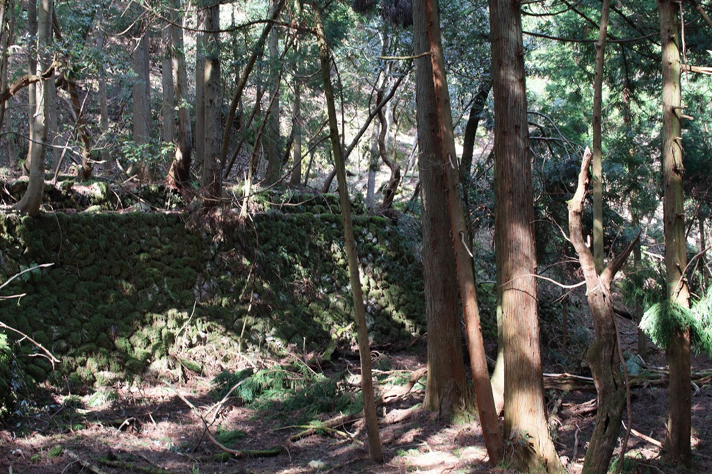 f:id:centuryride0608:20210306175018j:plain