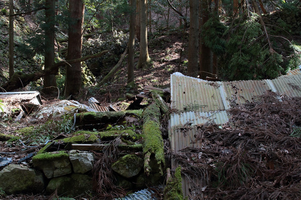 f:id:centuryride0608:20210306175022j:plain