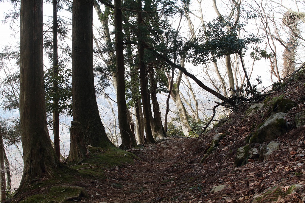 f:id:centuryride0608:20210306180526j:plain