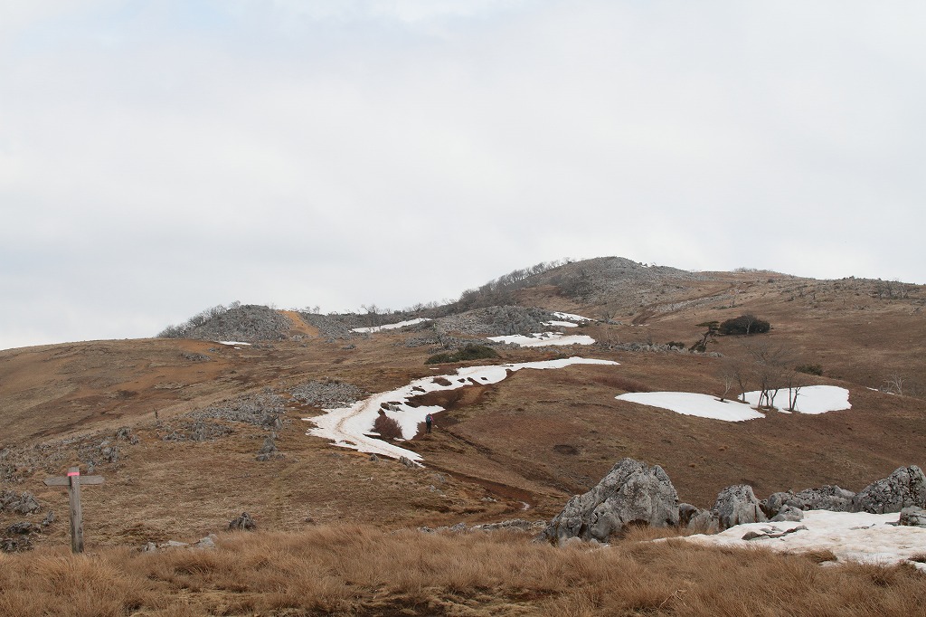 f:id:centuryride0608:20210306182725j:plain