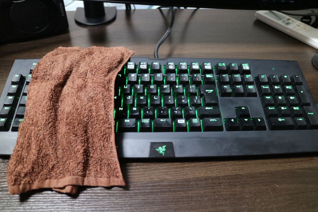 無水エタノールを使ってキーボードを徹底的に掃除したら舐められるくらいキレイになった おばじんは空を飛びたいあざらし