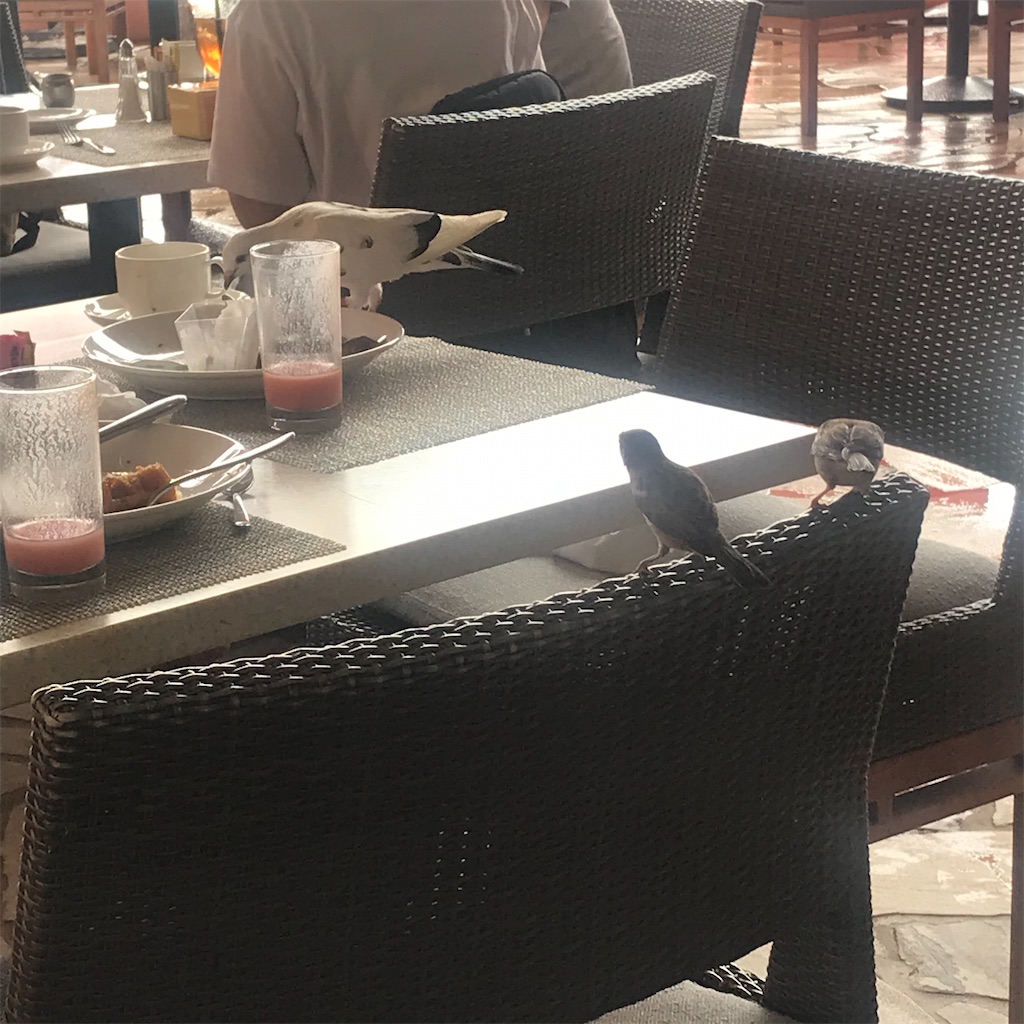 f:id:ceotomote:20191203233457j:image