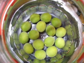 f:id:cera:20060611224035j:image