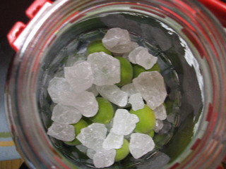 f:id:cera:20060611224911j:image