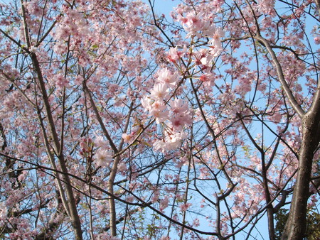 f:id:cera:20080405144005j:image:w225,h169