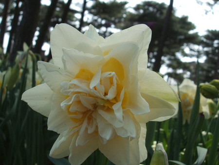 f:id:cera:20080412131247j:image:w225,h169