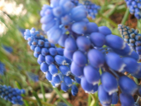 f:id:cera:20080412131510j:image:w225,h169