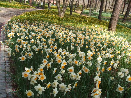 f:id:cera:20080412131554j:image:w225,h169