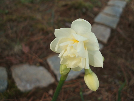 f:id:cera:20080412131844j:image:w225,h169
