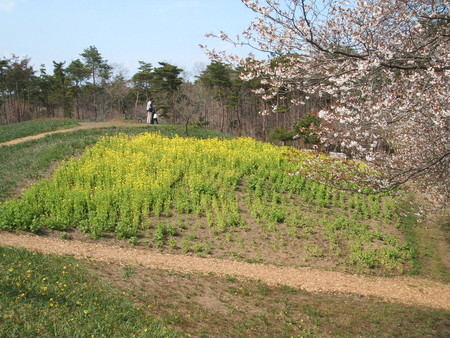 f:id:cera:20080412132658j:image:w225,h169
