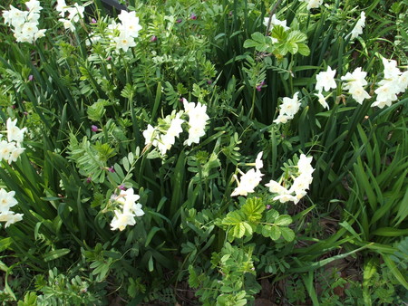 f:id:cera:20080412132949j:image:w225,h169