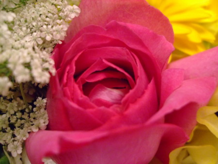 f:id:cera:20090123205555j:image