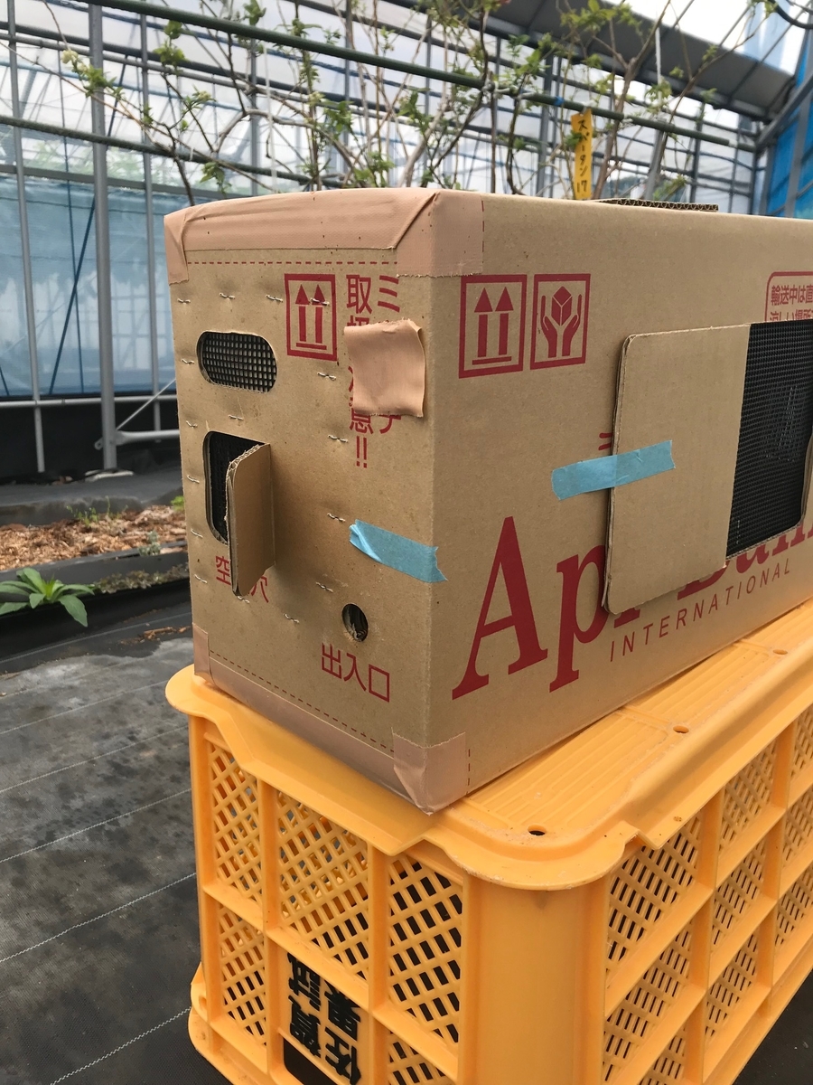 f:id:ceramicpaint:20190411183430j:plain