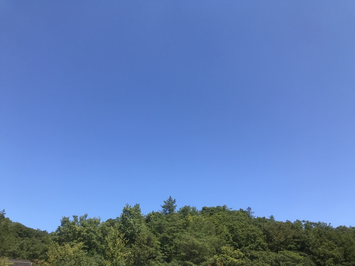 f:id:cerap-artplay:20190911191135j:plain
