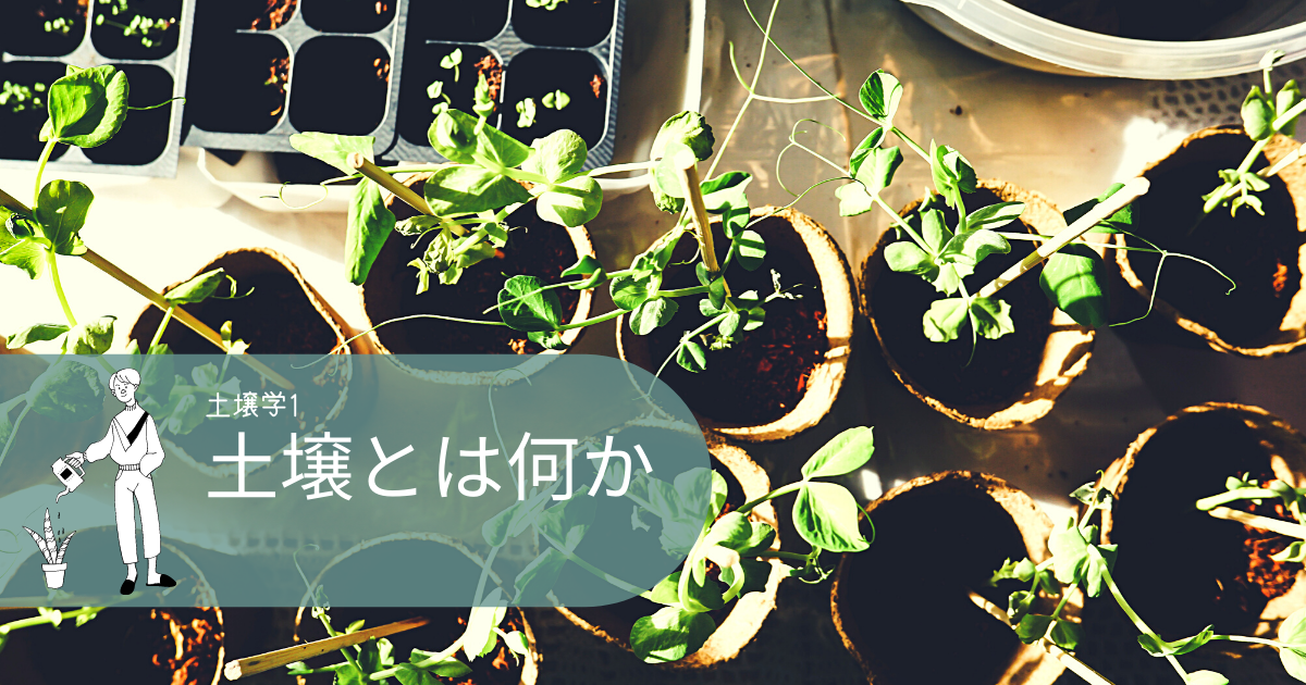 f:id:cerberus23:20210719115516p:plain