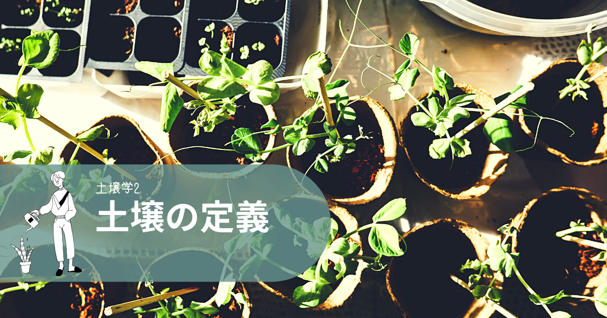 f:id:cerberus23:20210719122941p:plain