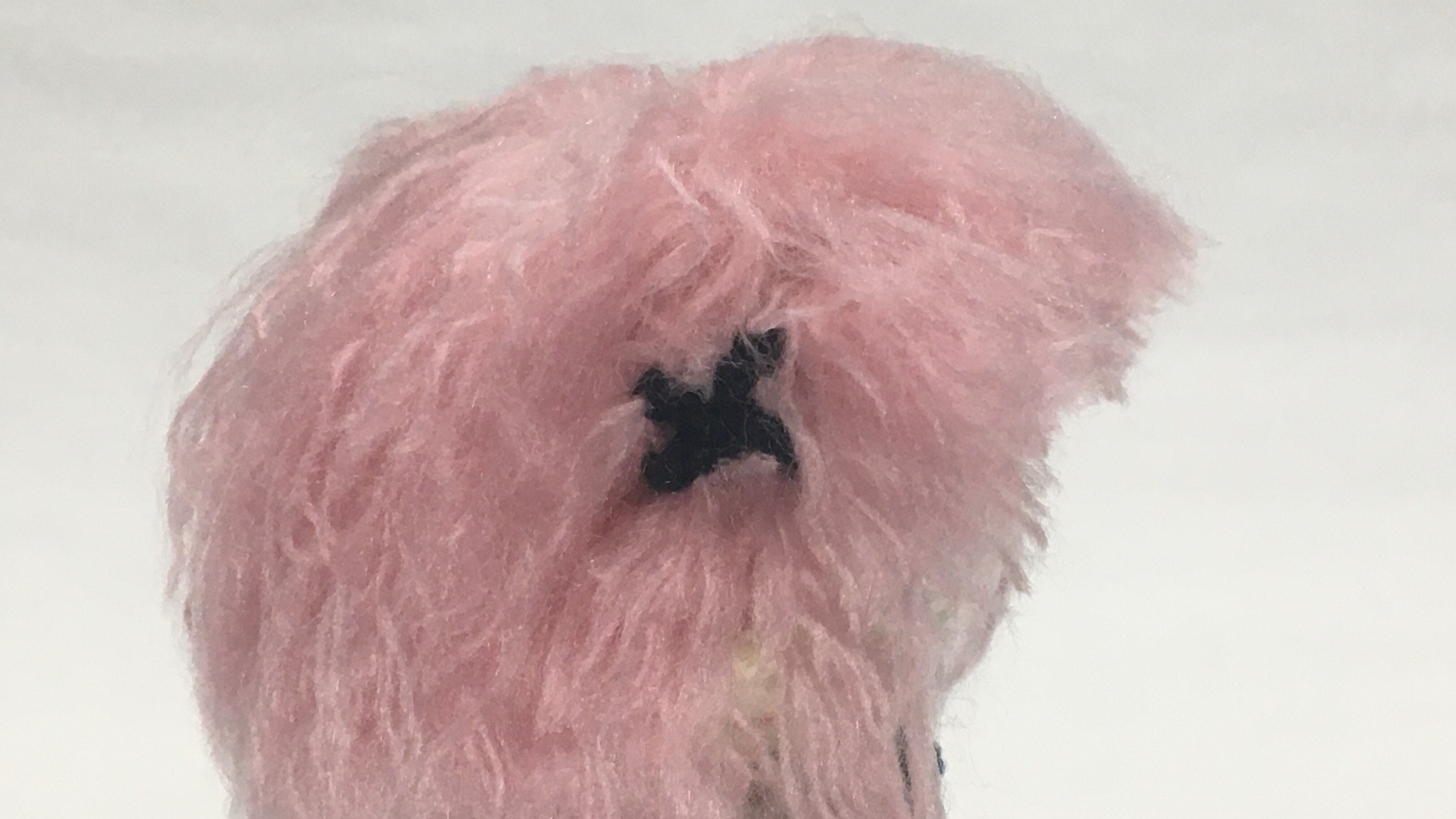 f:id:cerberus_cs:20191227010520j:image f:id:cerberus_cs:20191227010520j:image