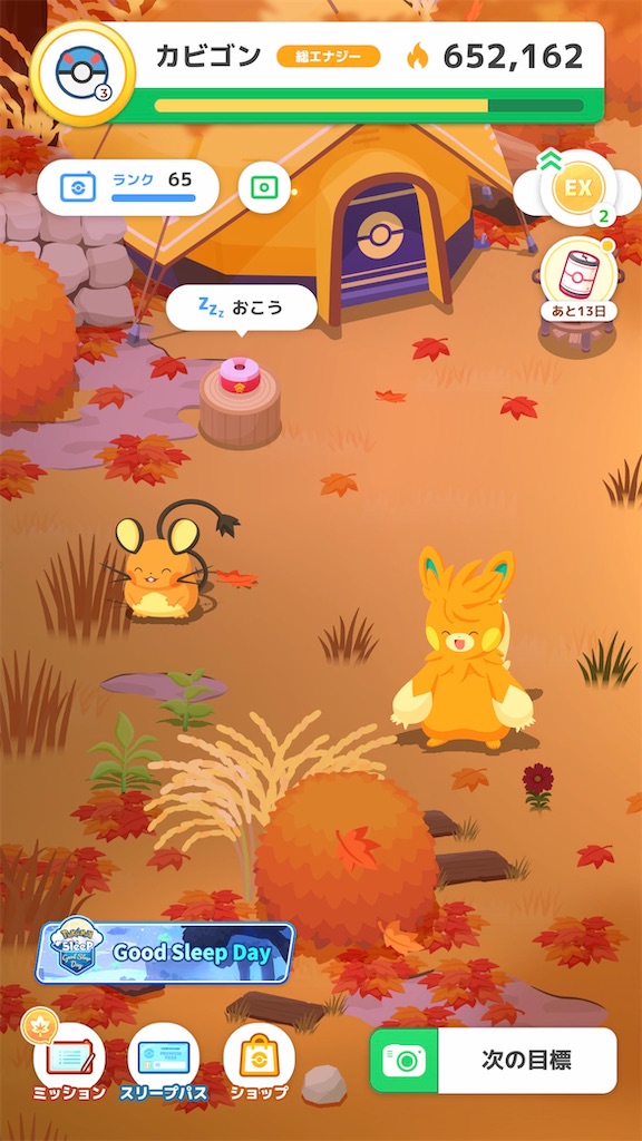 PSA10】ポケモンカード エンテイ ライコウ スイクン 3犬 SAR 3連番