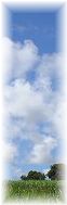 f:id:cerefica:20060307203145j:image