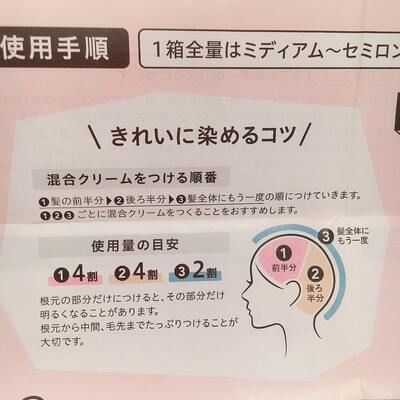 市販の白髪染めブローネ ルミエストの口コミ 美容師が染めてみた Kami Blog