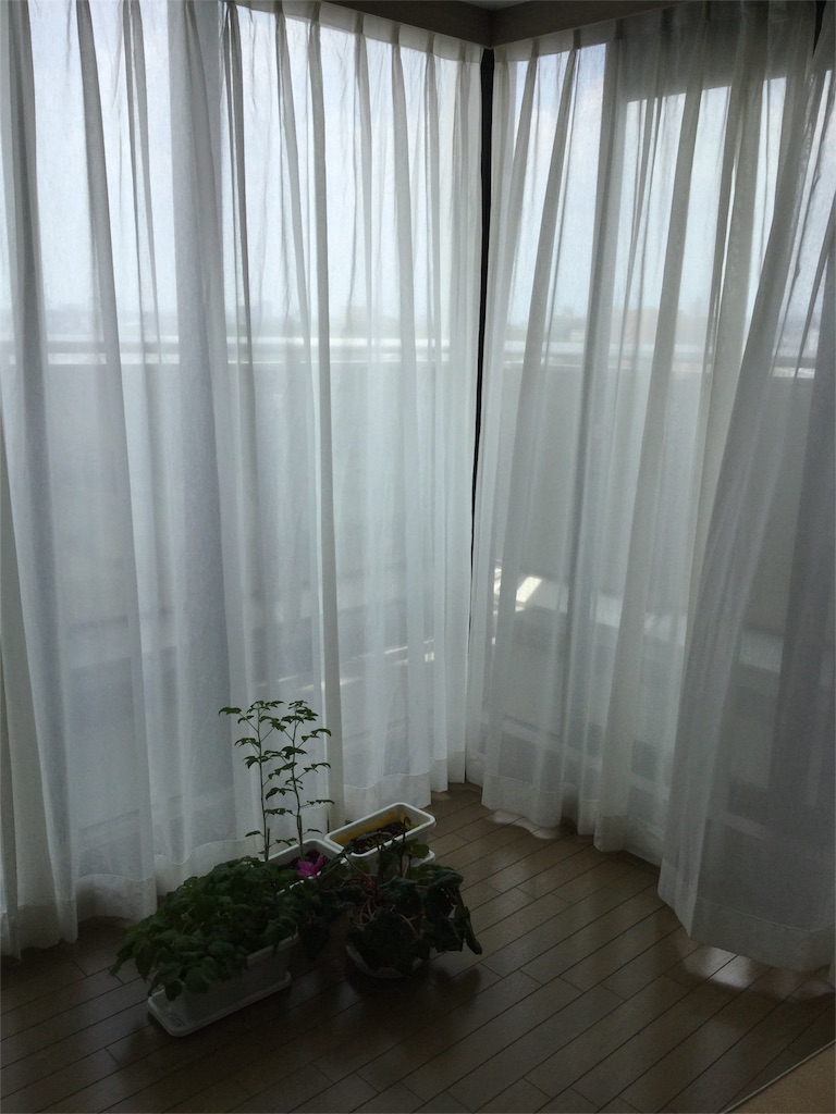 f:id:cereza-fresa:20160804215127j:image f:id:cereza-fresa:20160804215127j:image