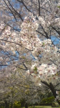 f:id:cerveler_y2:20090411122022j:image