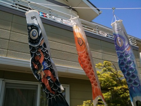 f:id:cerveler_y2:20100516132308j:image f:id:cerveler_y2:20100516132308j:image