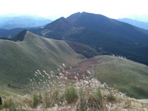 f:id:cerveler_y2:20101103125501j:image:left