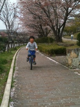 f:id:cerveler_y2:20110416131027j:image