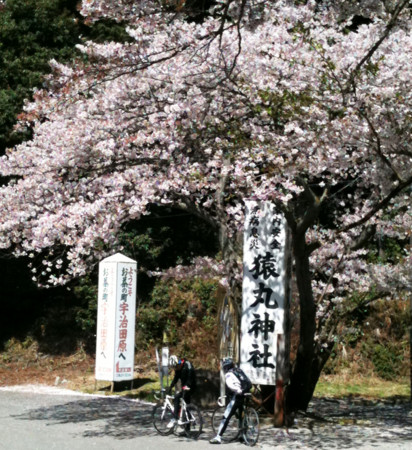 f:id:cerveler_y2:20110417102752j:image