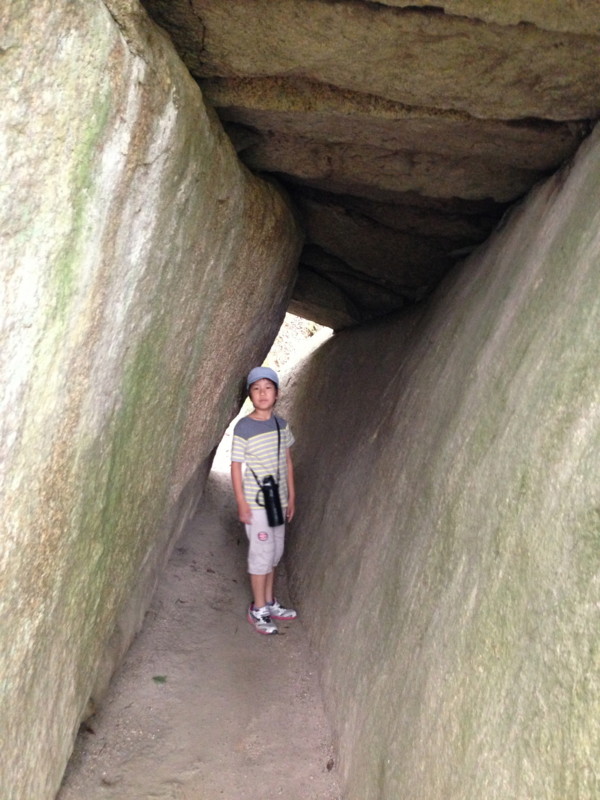 f:id:cerveler_y2:20130609104842j:image:w640