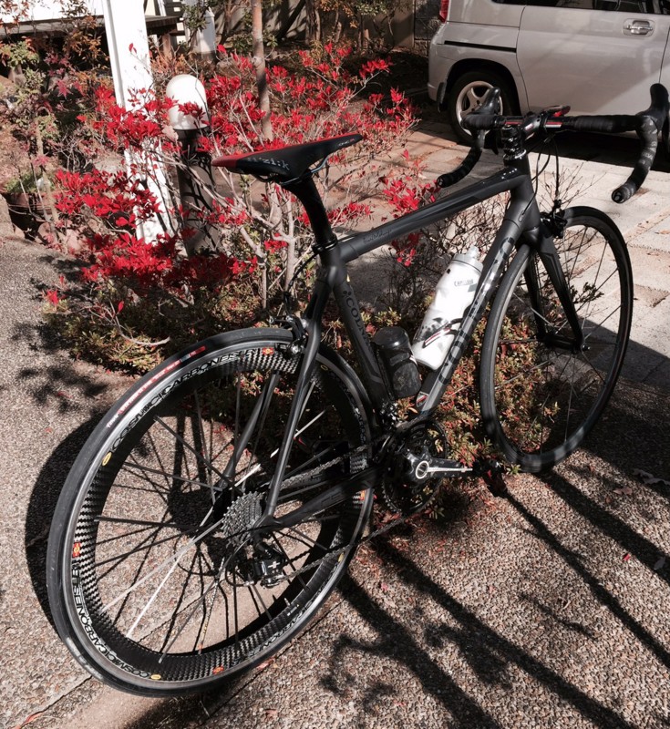 f:id:cerveler_y2:20141130112316j:image