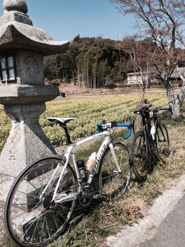 f:id:cerveler_y2:20150328111222j:image