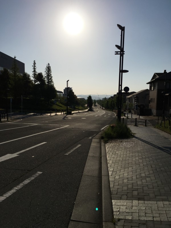 f:id:cerveler_y2:20160504064650j:image