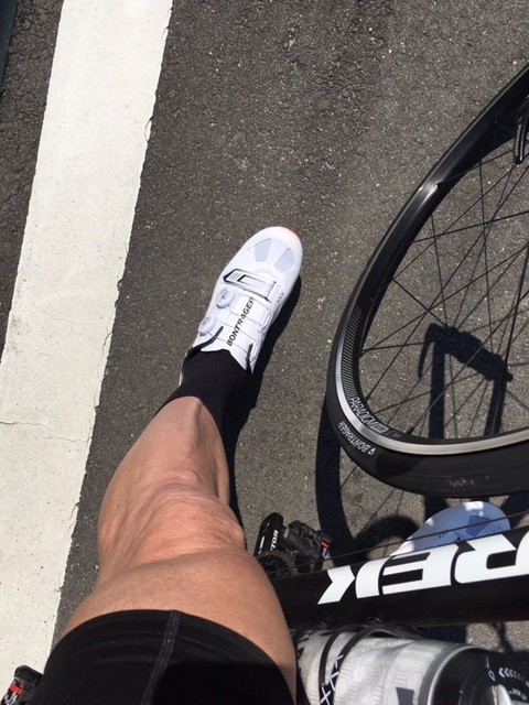 f:id:cerveler_y2:20170402111648j:image:w360