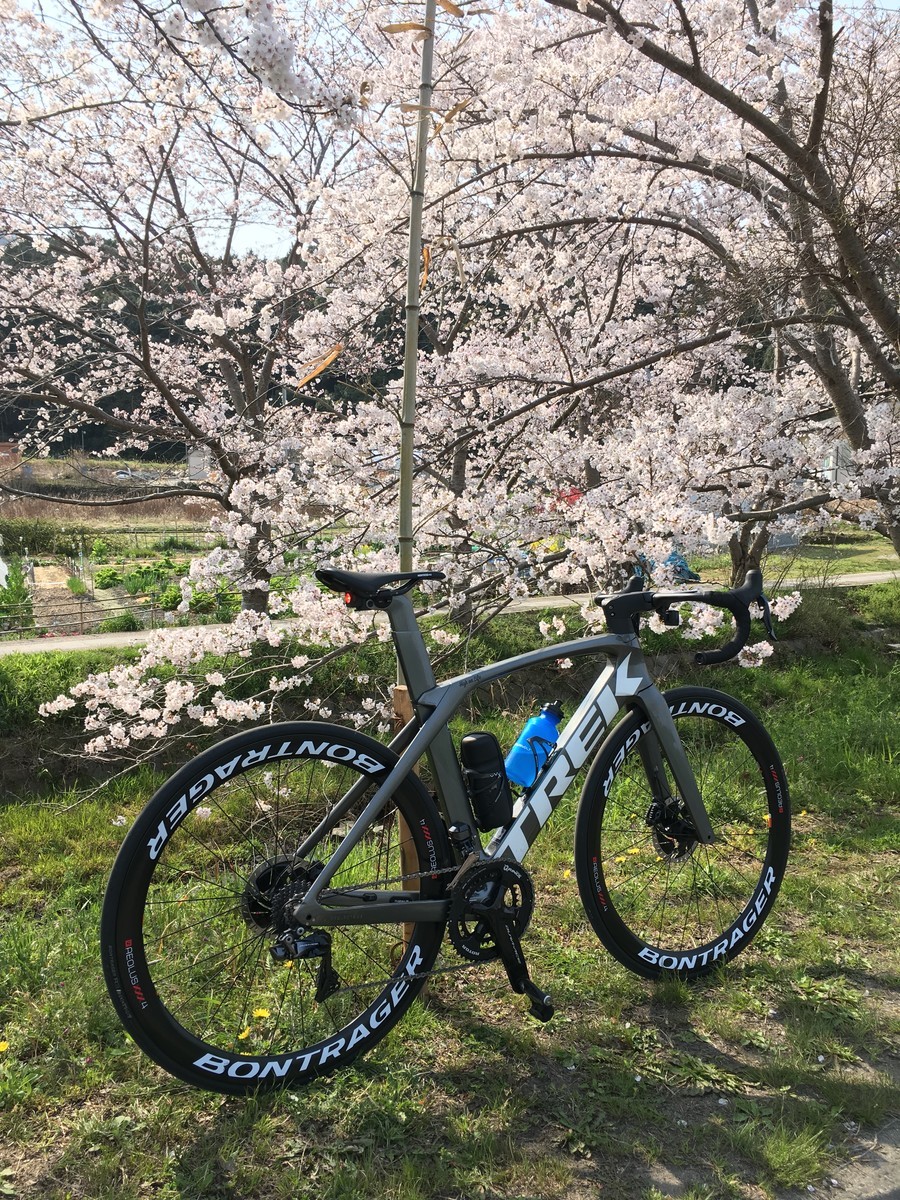 f:id:cerveler_y2:20190407090355j:plain