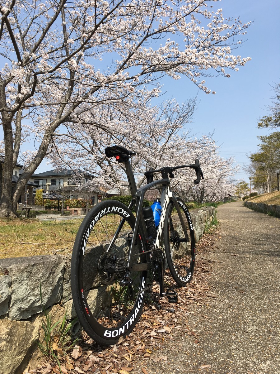 f:id:cerveler_y2:20190407102021j:plain