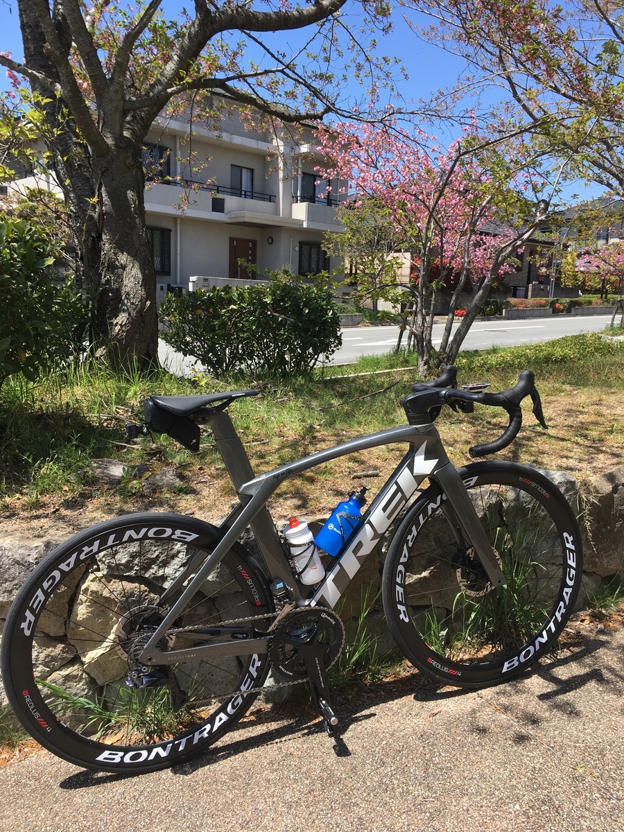 f:id:cerveler_y2:20190420114224j:plain f:id:cerveler_y2:20190420114224j:plain