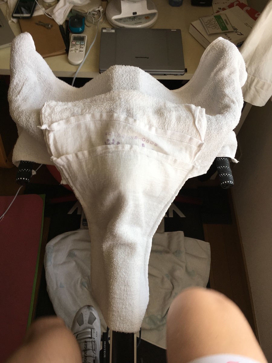 f:id:cerveler_y2:20200425092741j:plain