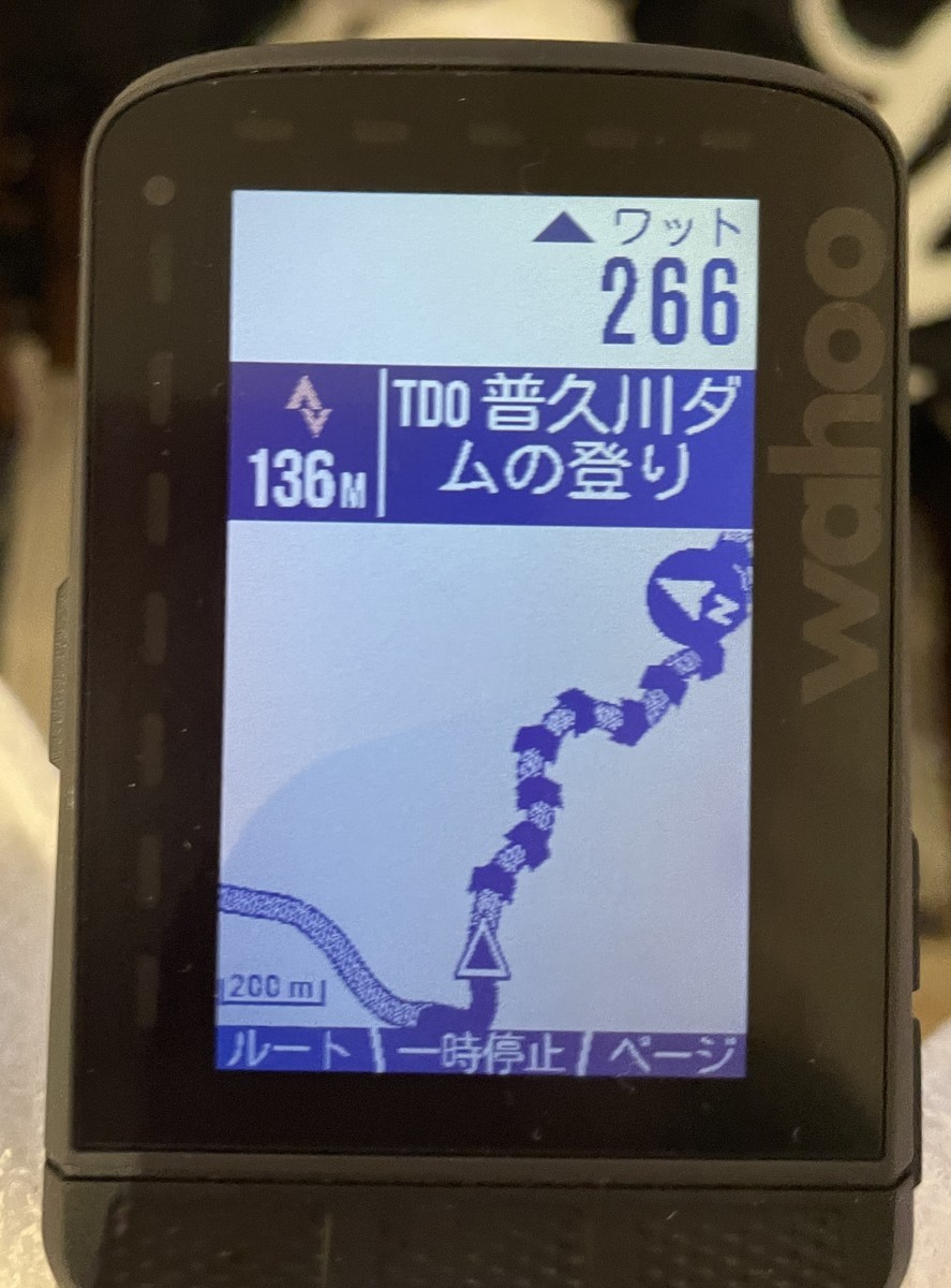 f:id:cerveler_y2:20210317181512j:plain