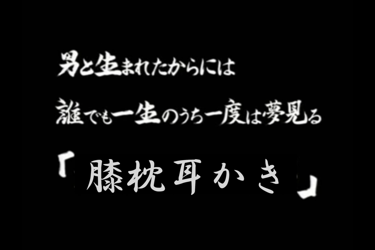 レポ 耳かき専門店訪問記 軍鶏が如く