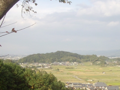 f:id:cess:20080512214404j:image