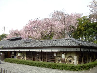 豆腐の店らしい