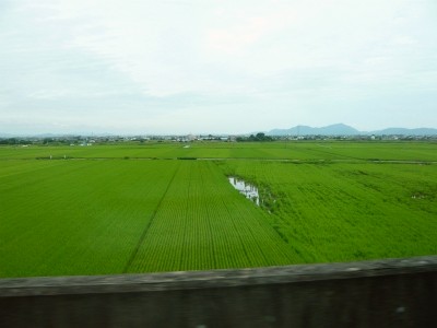 f:id:cess:20090909181147j:image